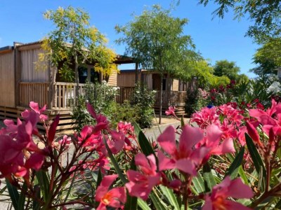 Holiday house Mobile Home in Malgrat near the Beach - Outdoor photo 5