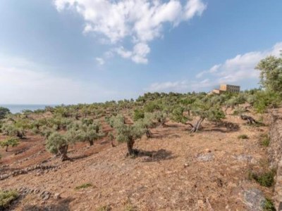 Bungalow Bungalow in Malgrat near Golden Beaches - Environment photo 23