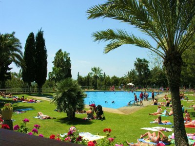 Chalet Good standard furnished chalet on nice park - Outdoor photo 34