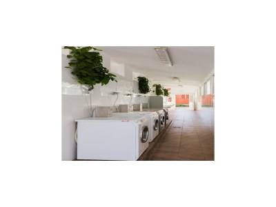 Bungalow Beachside Bungalow Escape - Outdoor photo 18