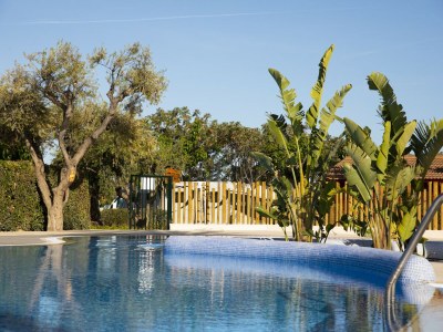 caravan Shaded Mobile Home Escape - Outdoor photo 3