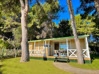 Holiday house Chalet Mediterran mit Terrasse - Outdoor photo 6