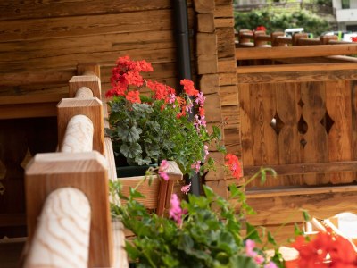 Apartment Berg-Lodge Peziner-Blick - Outdoor photo 34