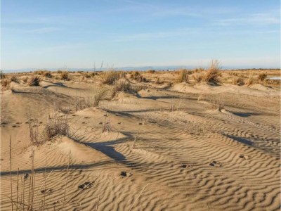Holiday park Maisonette in Aigues-Mortes bei Flamingos - Environment photo 11