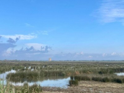 Holiday park Maisonette in Aigues-Mortes bei Flamingos - Environment photo 15