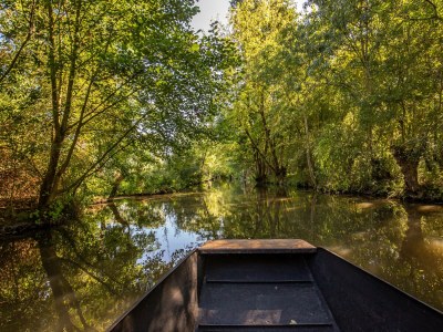 Villa DUXCAAR Mervent - Environment photo 32