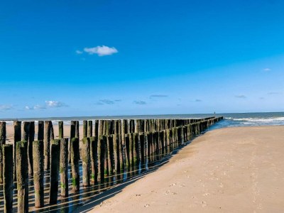 Holiday park Villa in Domburg near North Sea Beach - Environment photo 15