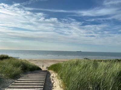 Holiday park Villa in Nieuwvliet nahe Strand - Environment photo 26