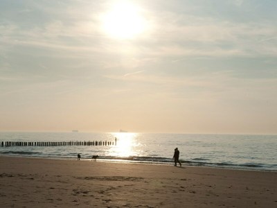 Holiday park Villa in Cadzand-Bad near North Sea Coast - Environment photo 17