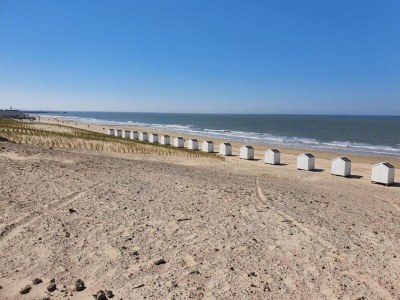 Holiday park Villa in Cadzand-Bad near North Sea Coast - Environment photo 18