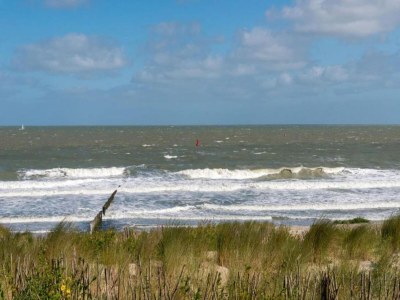 Holiday park Villa in Cadzand-Bad near North Sea Coast - Environment photo 27