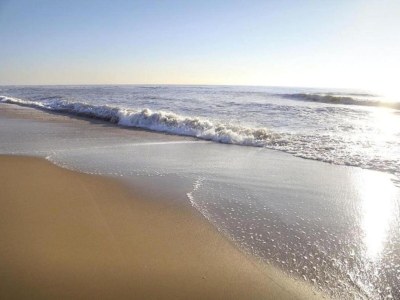 Holiday park Villa in Cadzand-Bad near North Sea Coast - Environment photo 29