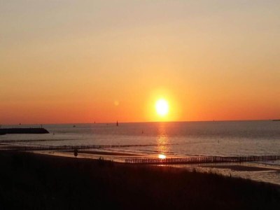 Holiday park Villa in Cadzand-Bad near North Sea Coast - Environment photo 30