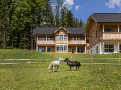 Apartment Apartment Ausseerland near Ski Slopes - Outdoor photo 31