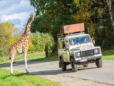 Holiday house Luxuszelt im Serengeti Park - Outdoor photo 30