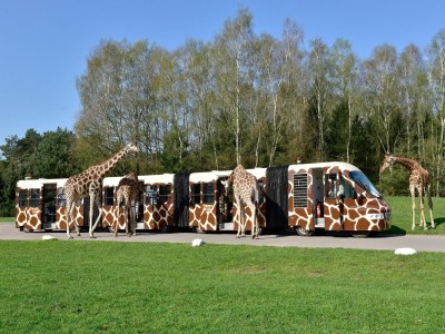 Holiday house Luxuszelt im Serengeti Park - Outdoor photo 38