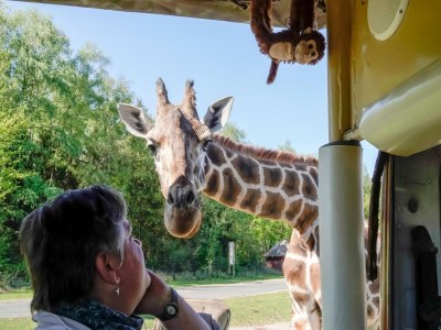 Holiday house Luxuszelt im Serengeti Park - Outdoor photo 36