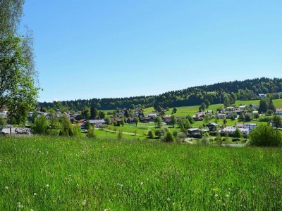 Apartment Ferienanlage Bäckerwiese in Neuschönau - Environment photo 21