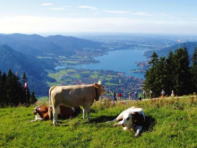 Apartment Gemütlicher Rückzugsort in der Nähe des Königssees - Environment photo 19