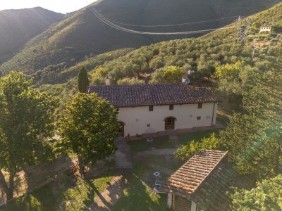 Holiday house Villa in Tuscany with Pool and Olive Grove - Environment photo 32