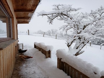 Apartment Apartment in Stans near Wolfsklamm River - Outdoor photo 13