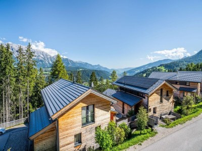 Holiday park Superior Chalet mit Sauna - Outdoor photo 10
