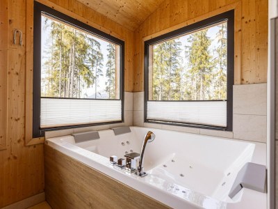 Holiday park Amazing chalet with Finnish Sauna - Features photo 23