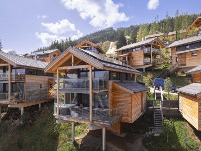 Holiday park Appealing chalet with sauna - Outdoor photo 6