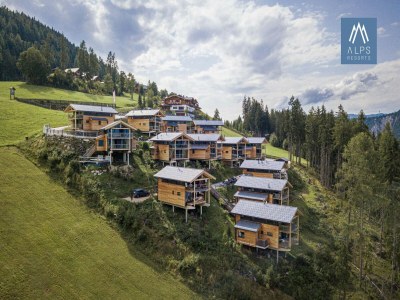 Holiday park Lovely chalet with sauna in Pichl - Holiday park