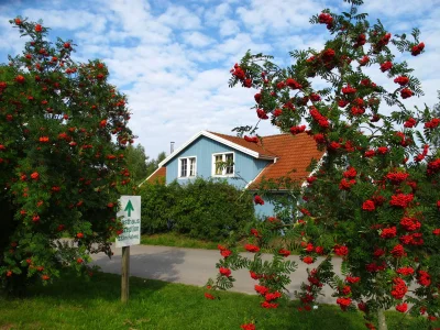 Holiday house Storch in Boeker Mühle - Holiday house
