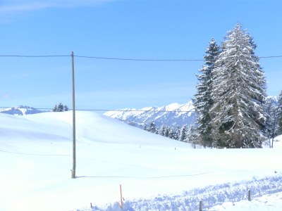 Holiday apartment Waltner - Outdoor photo 5