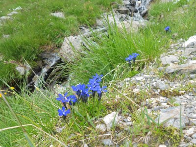 Holiday apartment Apartment Zillertal Arena - Environment photo 15