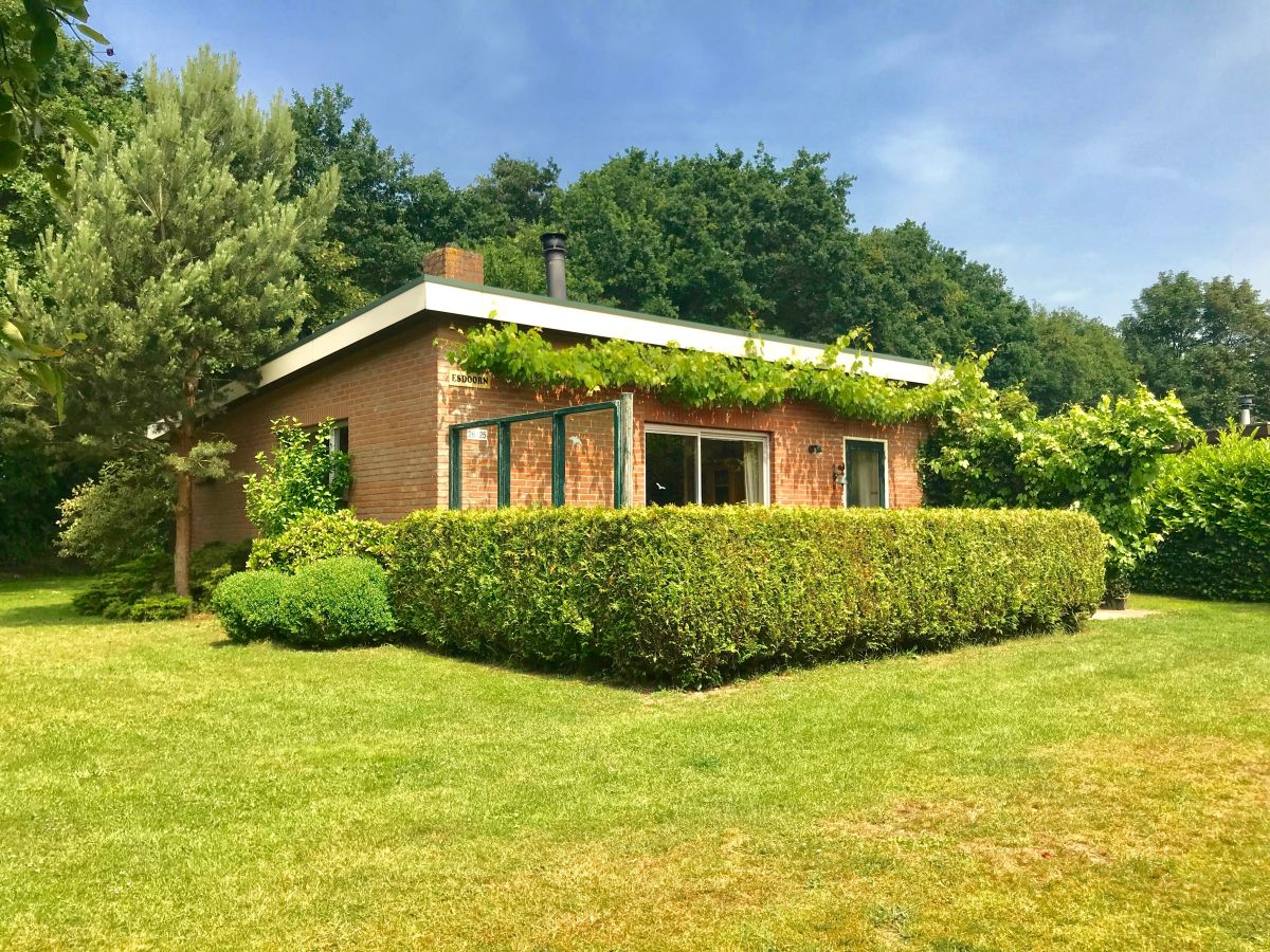 Bungalow Klein-Duinoord: Esdoorn