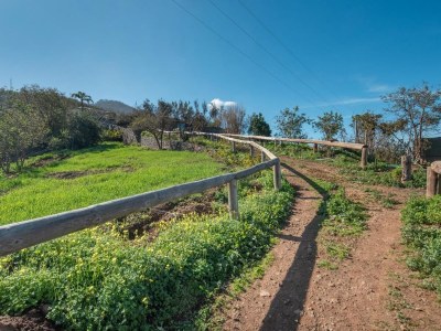 Cottage Holiday Home in Tenerife with Private Garden - Outdoor photo 3