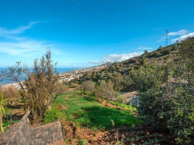 Cottage Holiday Home in Tenerife with Private Garden - Outdoor photo 4