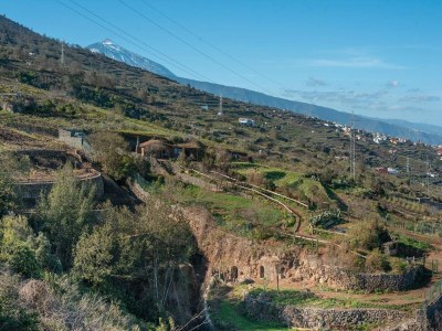 Cottage Holiday Home in Tenerife with Private Garden - Outdoor photo 7