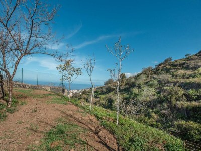 Cottage Holiday Home in Tenerife with Private Garden - Environment photo 33