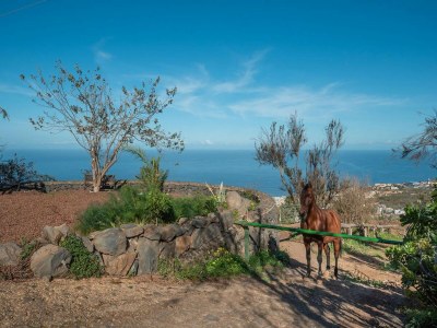 Cottage Holiday Home in Tenerife with Private Garden - Outdoor photo 39