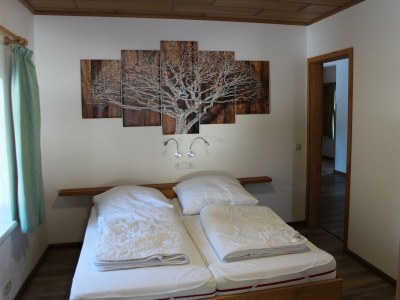 Apartment 4-Bettwohnung unten - Features photo 14