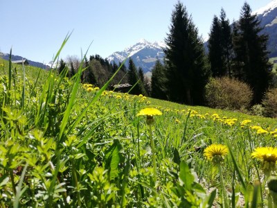 Apartment Appartement Galtenberg - Outdoor photo 11