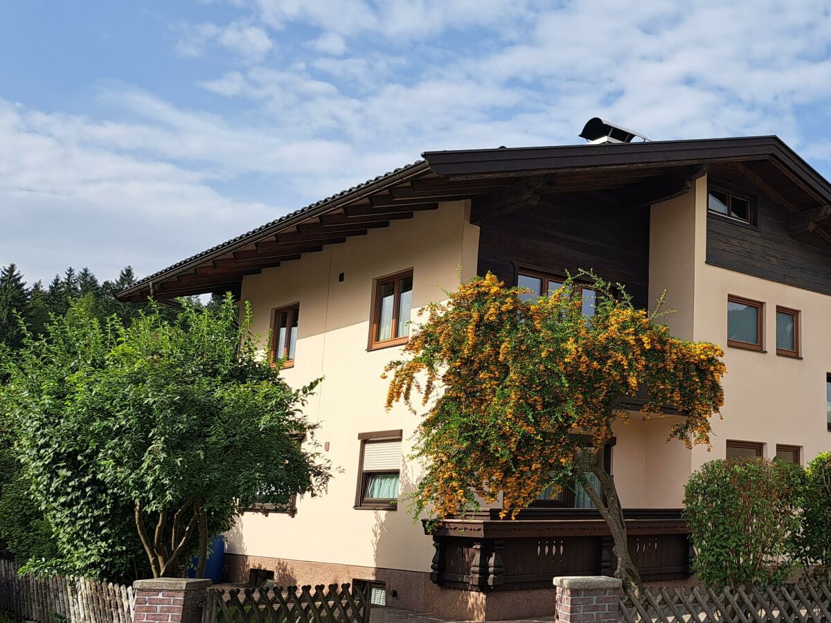 Apartment Ferienwohnung Waldblick