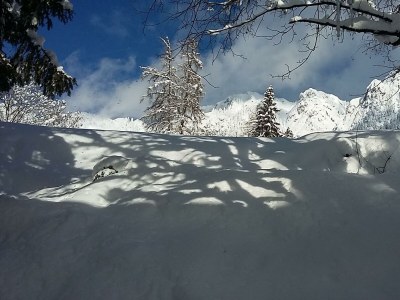 Apartment Appartement "Alpbachblick" - Outdoor photo 12