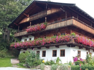 Apartment Appartement "Alpbachblick" - Features photo 47