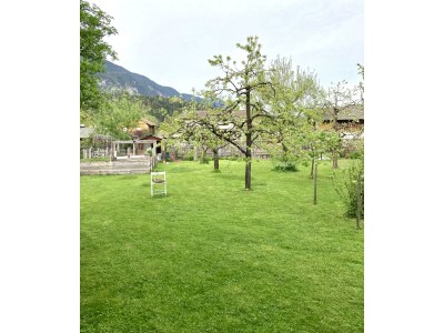 Apartment Apartment Villa Riedhart - Outdoor photo 14