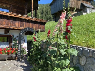Apartment Appartement Nr. 5 "Alpbach" - Outdoor photo 7