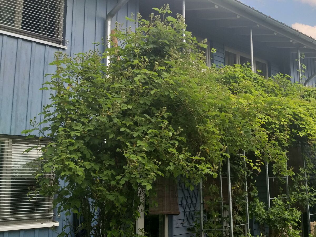 Apartment Bei Ludwig