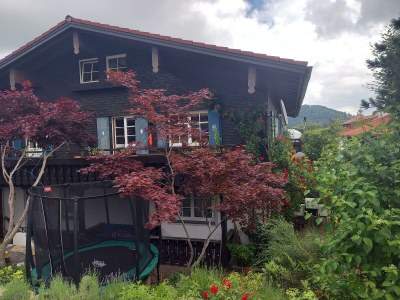 Apartment Ferienwohnung am Stießberg - Outdoor photo 23