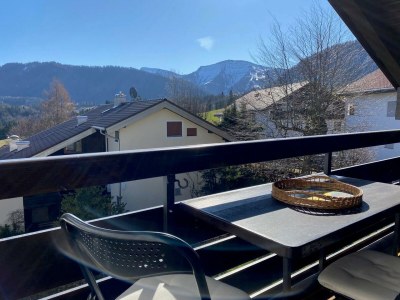 Apartment Ferienwohnung Bergwiese in Oberstaufen - Apartment