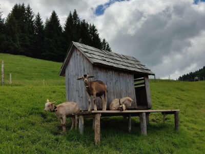 Apartment Ediths Nest - Outdoor photo 27