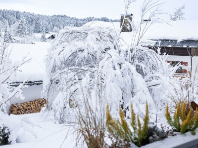 Apartment Alpen-Art Chalet - Outdoor photo 23